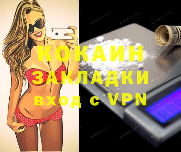гашик Нея