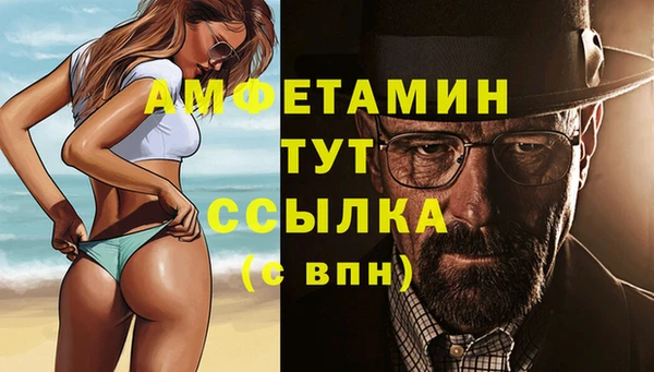 гашик Нея