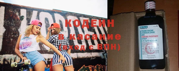 гашик Нея