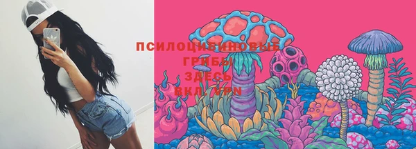 гашик Нея